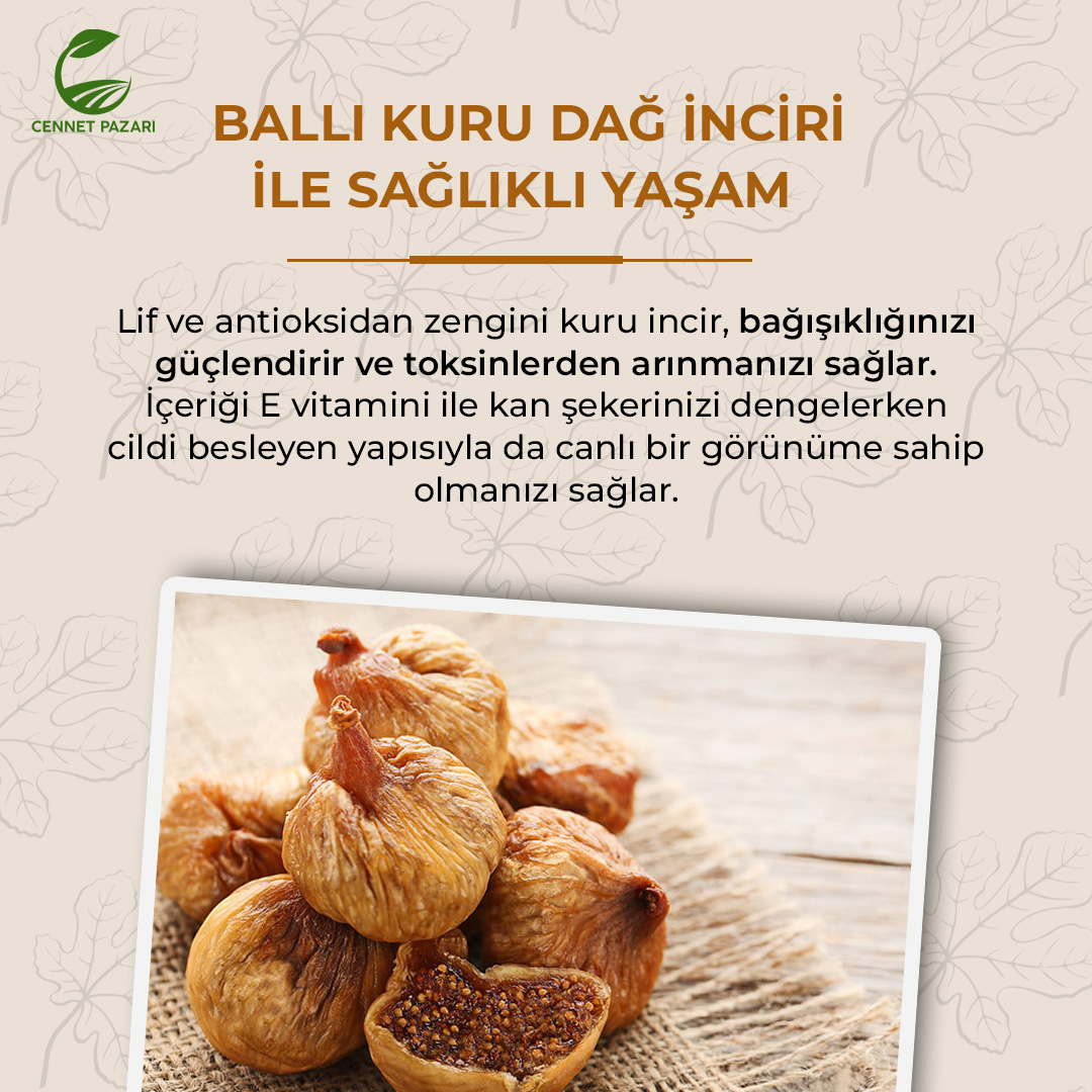 Kuru İncir