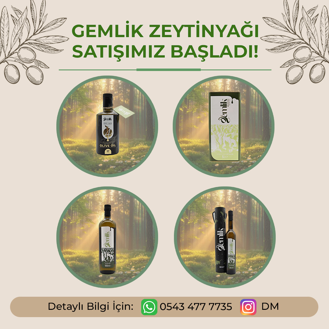 Zeytinyağı